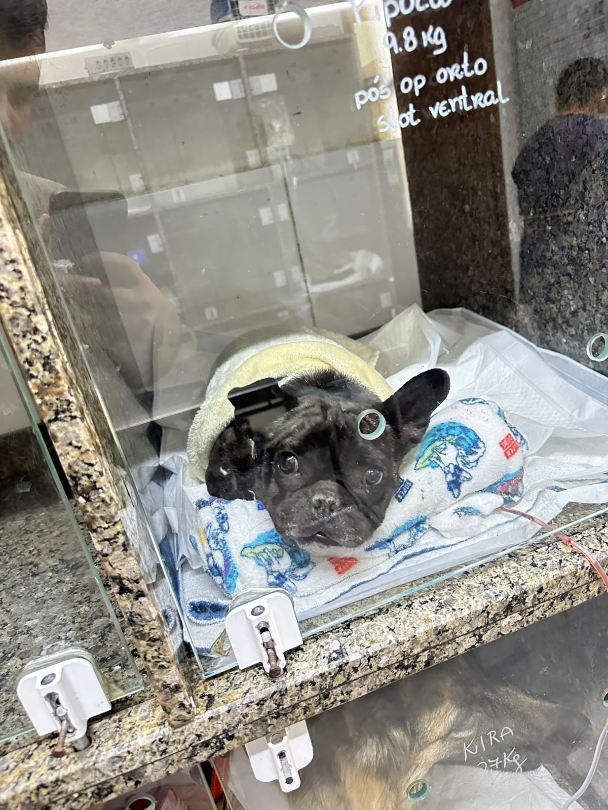 Pipoca durante os cuidados após a cirurgia
