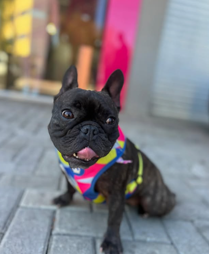 Pipoca saudável e usando bandana colorida